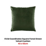 Bianca Vivid Coordinates Square Forest Green Velvet Cushion - Home & Garden > Bedding