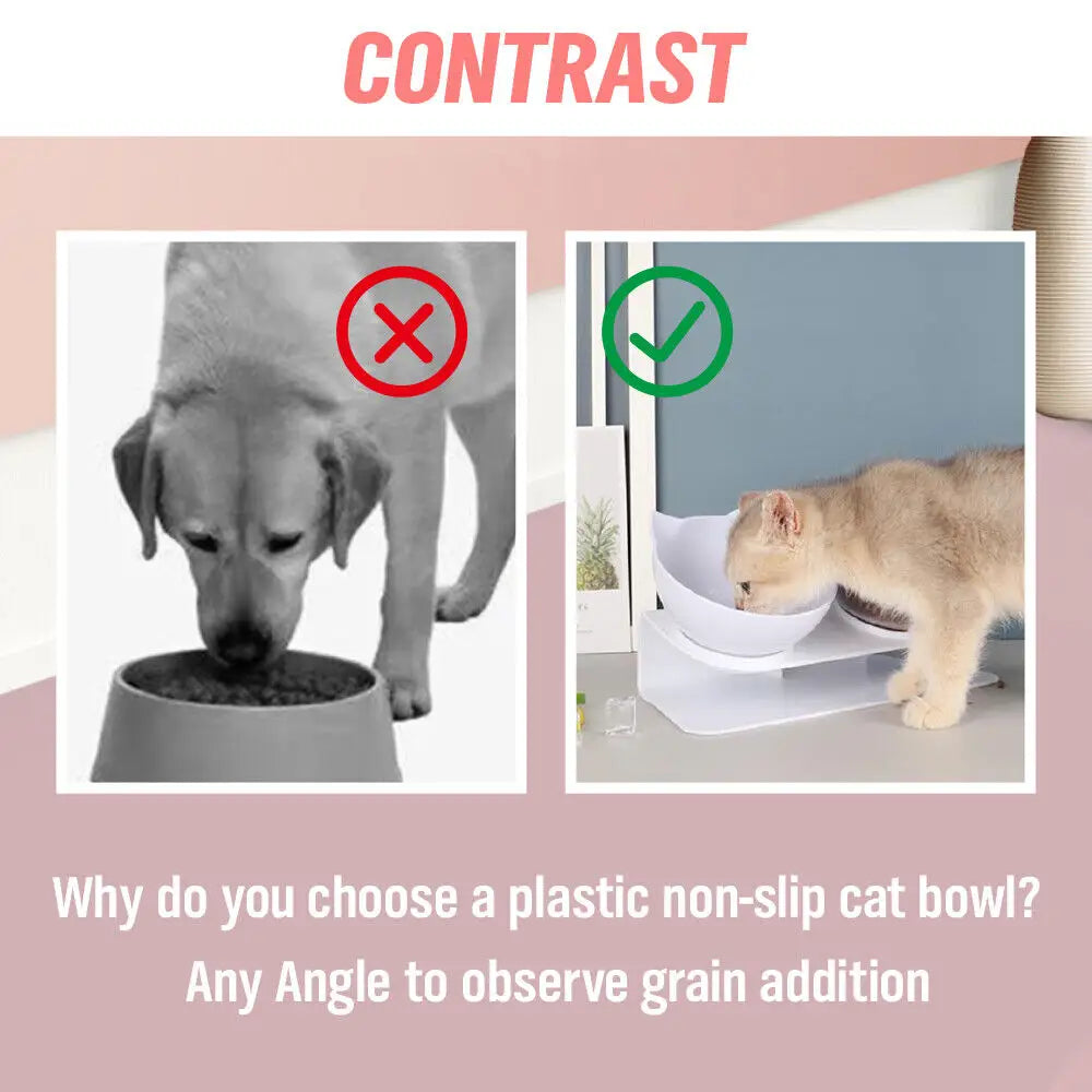 Black Double Cat Bowl Pet Bowl Stand Dog Elevated Feeder Food Water Raised Lifted - Pet Care > Dog Supplies > Dog Bowls