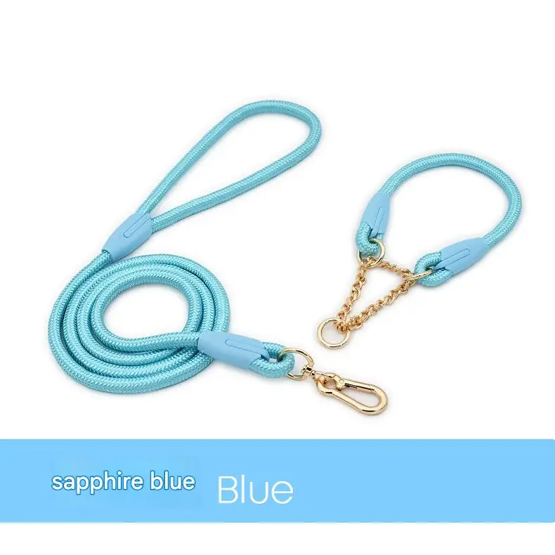Blue Durable Nylon P-Collar Dog Training Set - Heavy Duty Leash & Martingale Collar (Size: XL) - Pet Care > Dog