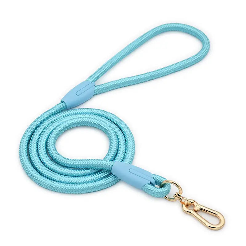 Blue Durable Nylon P-Collar Dog Training Set - Heavy Duty Leash & Martingale Collar (Size: M) - Pet Care > Dog Supplies