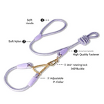 Blue Durable Nylon P-Collar Dog Training Set - Heavy Duty Leash & Martingale Collar (Size: M) - Pet Care > Dog Supplies
