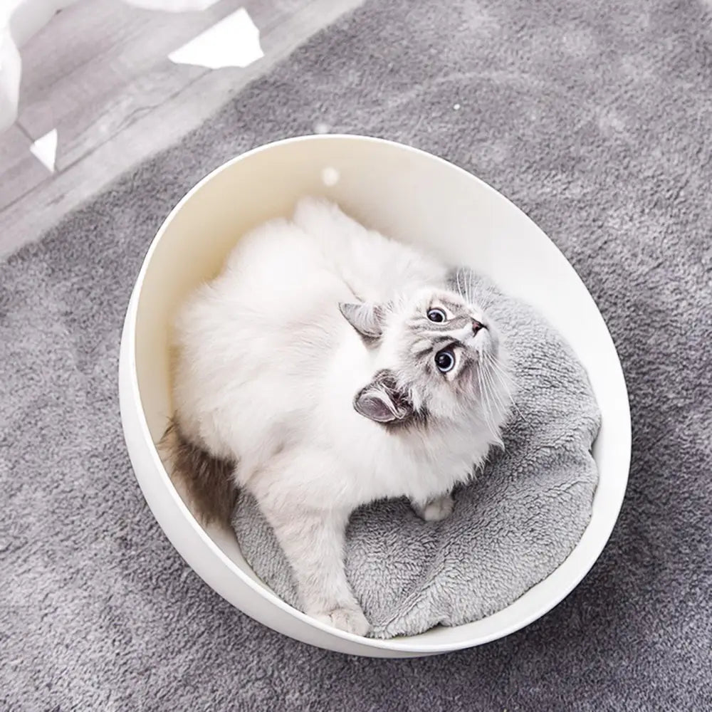 Cat Sphere Bed Nest - Pet Care > Toys > Cat Toys