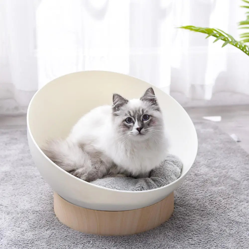 Cat Sphere Bed Nest - Pet Care > Toys > Cat Toys