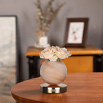 Champagne Dreamy Rose Planet Lamp Night Light - Elegant 21cm USB-Charged 3-Color Touch Dimming Decor Gift - Home &