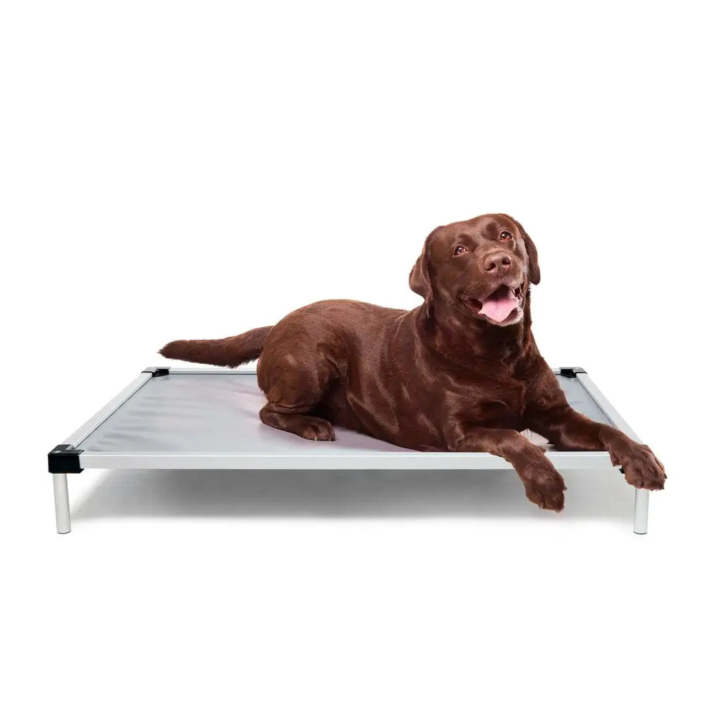 Chew Proof Dog Bed | Fur King Tough L/XL - Pet Care > Dog Supplies > Dog Beds