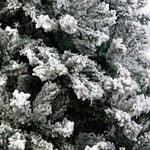 Christabelle Snow-Tipped Artificial Christmas Tree 1.5m - 550 Tips - Occasions > Christmas > Christmas Trees