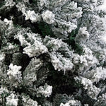 Christabelle Snow-Tipped Artificial Christmas Tree 2.4m 1500 Tips - Occasions > Christmas > Christmas Trees