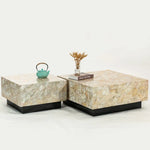 CLUSTER MOTHER OF PEARL HAND MADE COFFEE TABLE - Furniture > Living Room > Coffee Tables