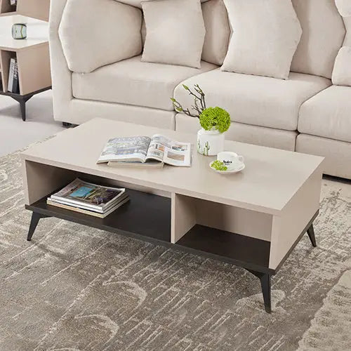 Coffee Table 2 Open Storage Cabinet MDF in Champagne Colour - Furniture > Living Room > Coffee Tables