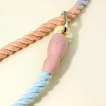 Colorful Vibrant Rainbow Ombre Rope Dog Leash - Durable Nylon P-Chain Slip Lead for Small & Medium Breeds - Pet Care >