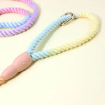 Colorful Vibrant Rainbow Ombre Rope Dog Leash - Durable Nylon P-Chain Slip Lead for Small & Medium Breeds - Pet Care >