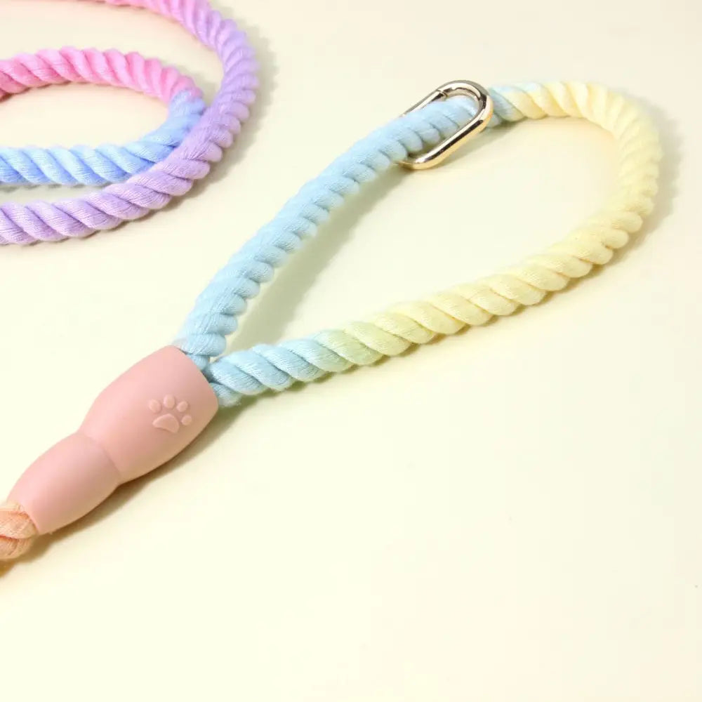 Colorful Vibrant Rainbow Ombre Rope Dog Leash - Durable Nylon P-Chain Slip Lead for Small & Medium Breeds - Pet Care >