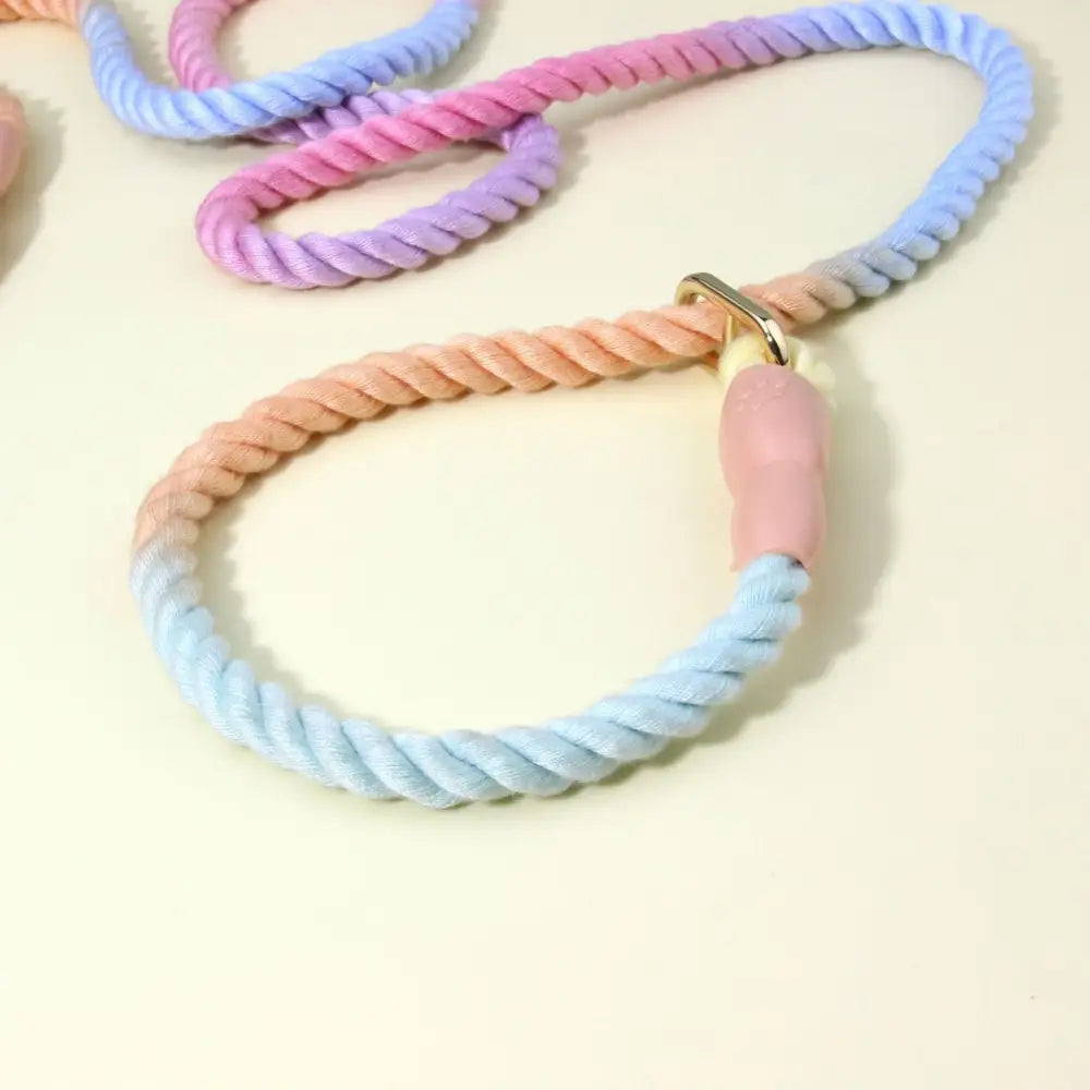 Colorful Vibrant Rainbow Ombre Rope Dog Leash - Durable Nylon P-Chain Slip Lead for Small & Medium Breeds - Pet Care >