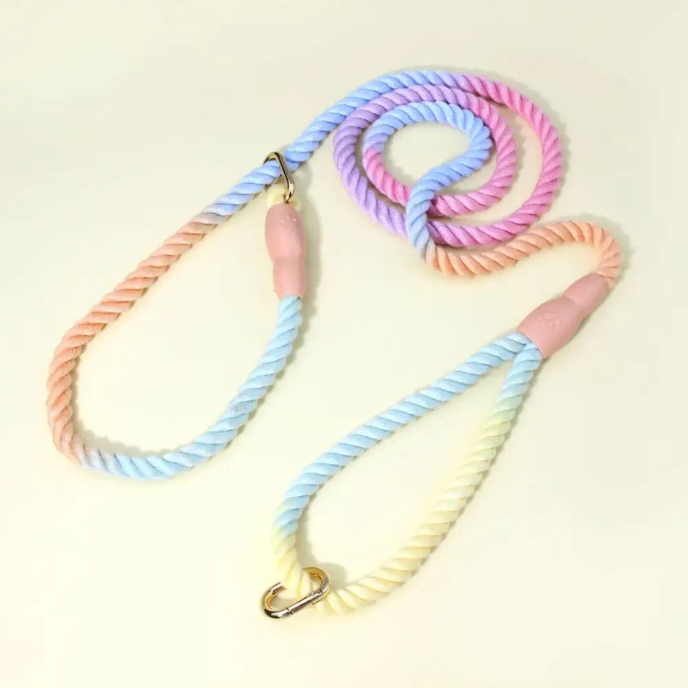 Colorful Vibrant Rainbow Ombre Rope Dog Leash - Durable Nylon P-Chain Slip Lead for Small & Medium Breeds - Pet Care >
