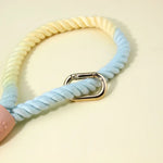 Colorful Vibrant Rainbow Ombre Rope Dog Leash - Durable Nylon P-Chain Slip Lead for Small & Medium Breeds - Pet Care >