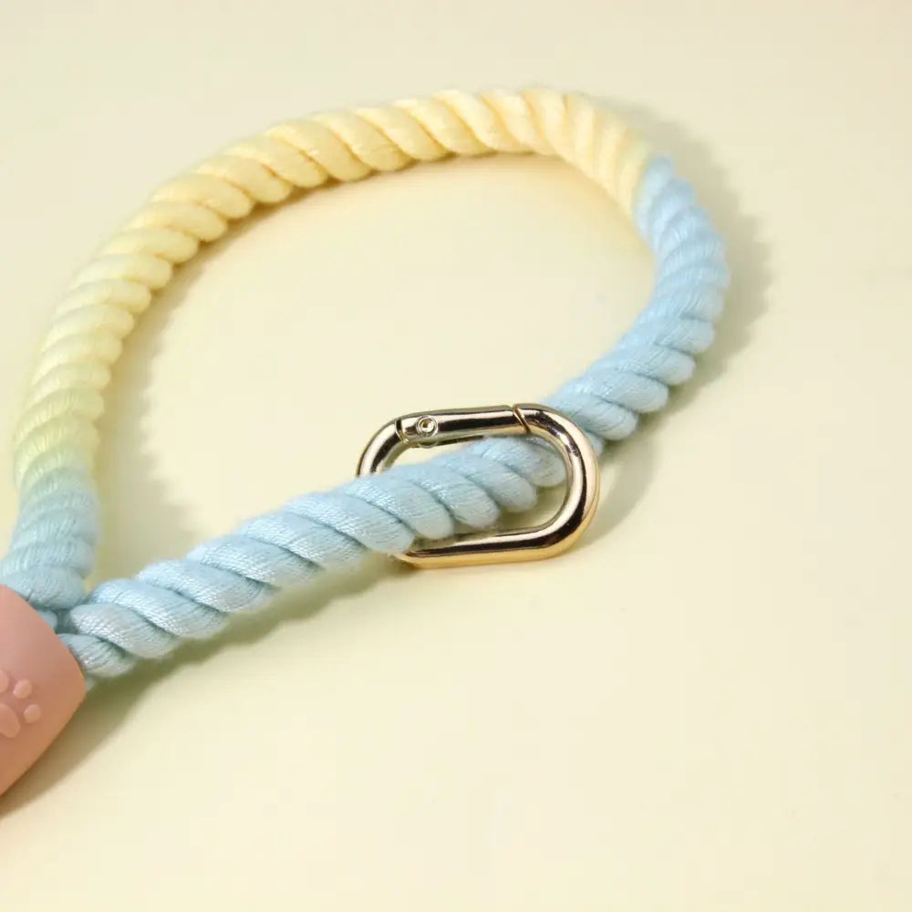 Colorful Vibrant Rainbow Ombre Rope Dog Leash - Durable Nylon P-Chain Slip Lead for Small & Medium Breeds - Pet Care >