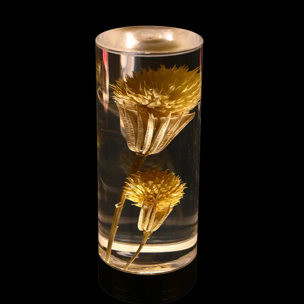 Dandelion Grass Eternal Flower Acrylic Table Lamp - Color-Changing LED USB Rechargeable Touch Control - Home & Garden >