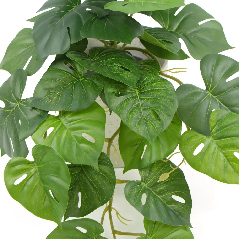 Decorative Ceramic Bowl Potted Artificial Monstera Plant 30cm - Home & Garden > Artificial Plants