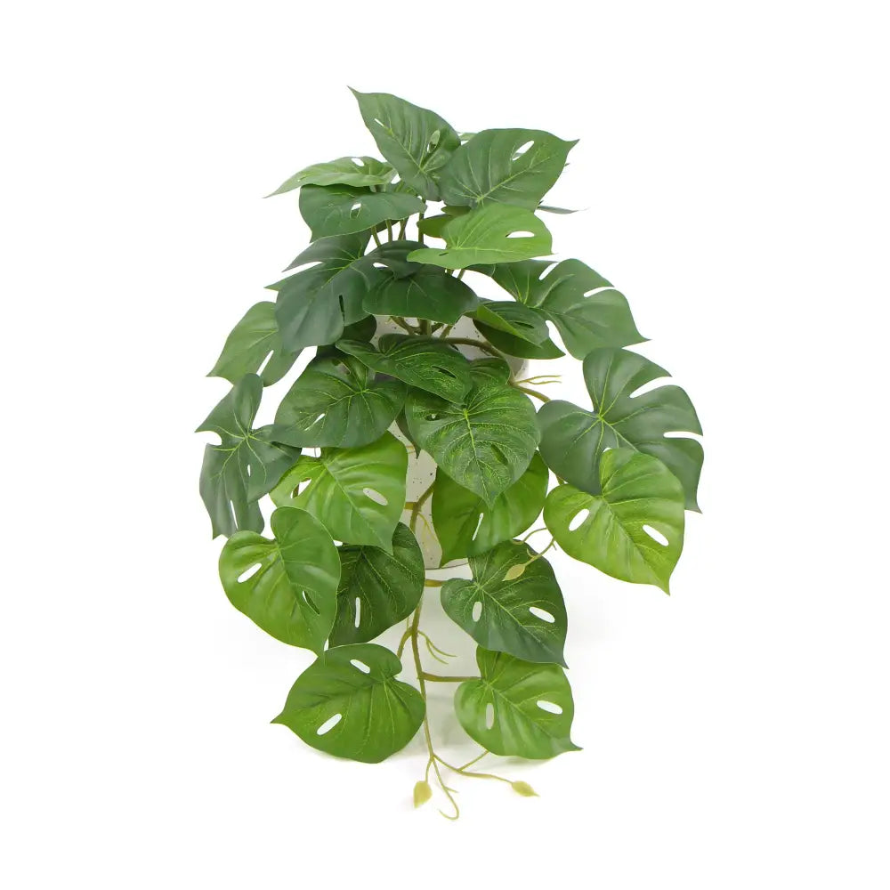 Decorative Ceramic Bowl Potted Artificial Monstera Plant 30cm - Home & Garden > Artificial Plants