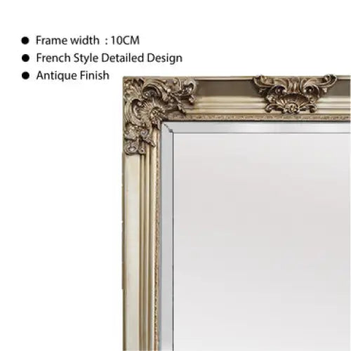 Deluxe French Provincial Ornate Mirror - Champagne - X large 210cm x 110cm - Home & Garden > Decor