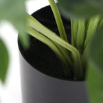 Dense Potted Artificial Split Philodendron Plant With Real Touch Leaves 50cm - Home & Garden > Artificial Plants