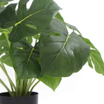Dense Potted Artificial Split Philodendron Plant With Real Touch Leaves 50cm - Home & Garden > Artificial Plants