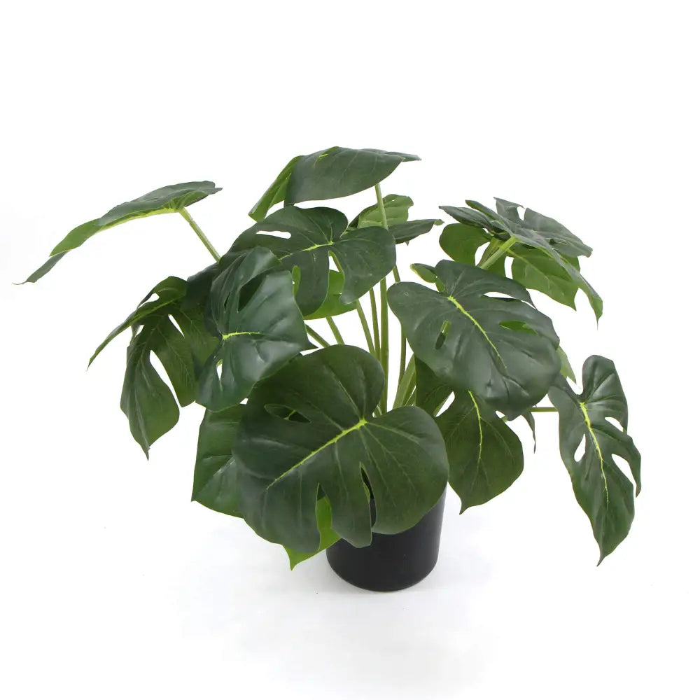 Dense Potted Artificial Split Philodendron Plant With Real Touch Leaves 50cm - Home & Garden > Artificial Plants