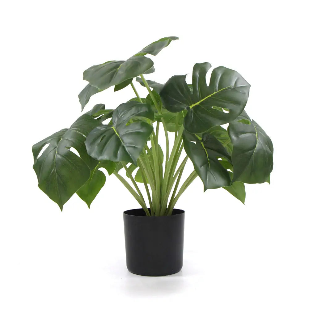 Dense Potted Artificial Split Philodendron Plant With Real Touch Leaves 50cm - Home & Garden > Artificial Plants