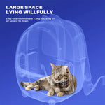 Designed cat bag for going out portable backpack space capsule large capacity breathable school bag pet bag summer pet