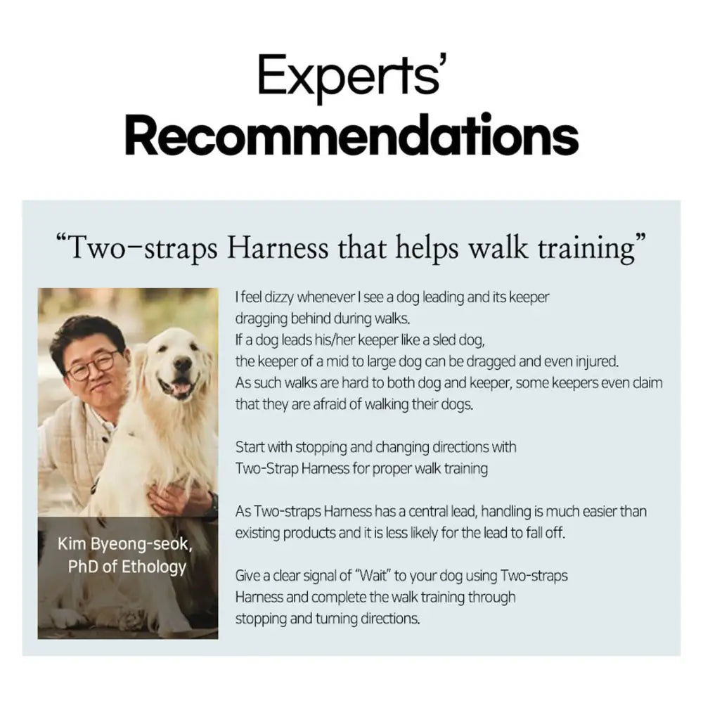 Dog Double-Lined Straps Harness Adjustable S SWEET GREEN - Pet Care > Dog Supplies > Dog Collars Leads & Harnesses