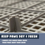 Dog Pet Potty Tray Training Toilet Raised Walls T1 BLUE - Pet Care > Dog Supplies > Dog Training Aids