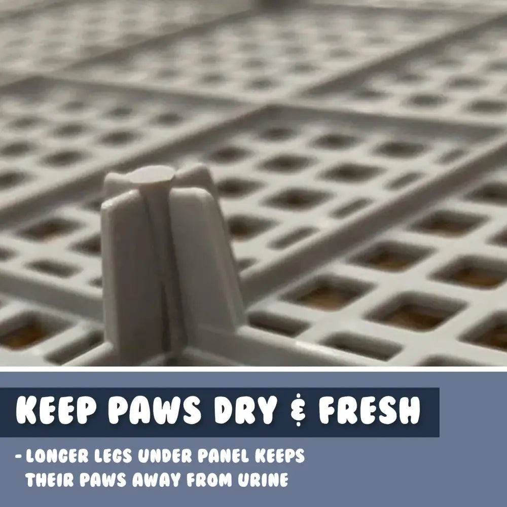 Dog Pet Potty Tray Training Toilet Raised Walls T1 BLUE - Pet Care > Dog Supplies > Dog Training Aids