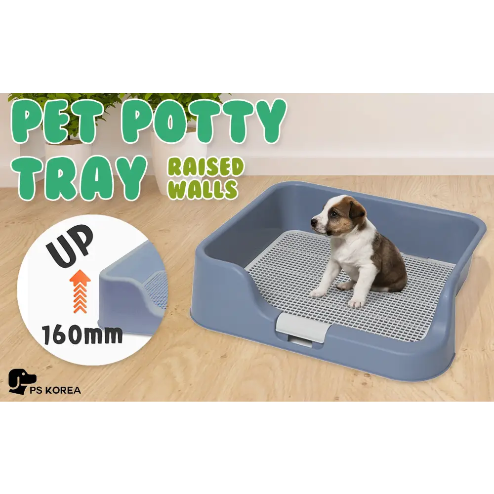 Dog Pet Potty Tray Training Toilet Raised Walls T1 BLUE - Pet Care > Dog Supplies > Dog Training Aids