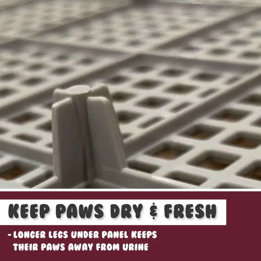 Dog Pet Potty Tray Training Toilet Raised Walls T1 WINE - Pet Care > Dog Supplies > Dog Training Aids
