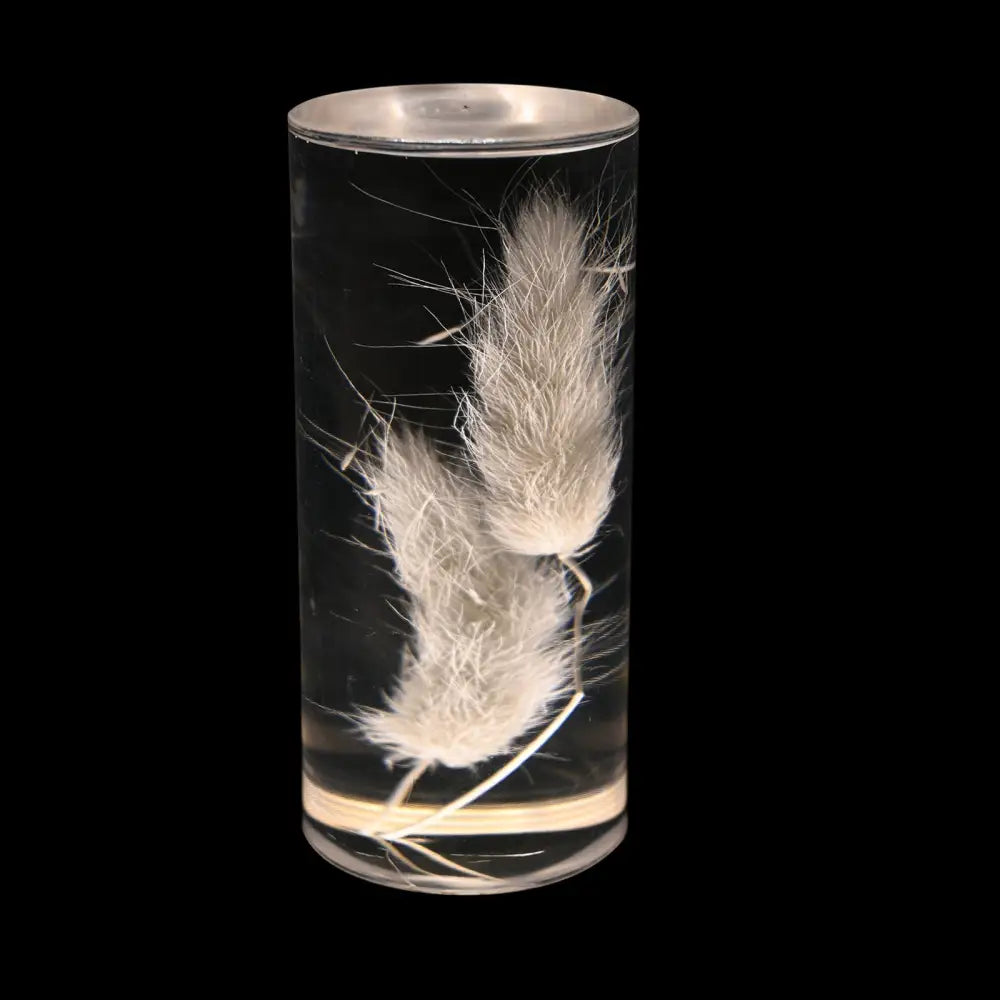 Dogtail Grass Eternal Flower Acrylic Table Lamp - Color-Changing LED USB Rechargeable Touch Control - Home & Garden >