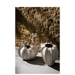 Elegant White Ceramic Pumpkin-Shaped Vase – Modern Decorative Home Accent for Table Centerpiece - Home & Garden > Decor