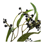 Faux Litsea Pepper Stems - Home & Garden > Decor