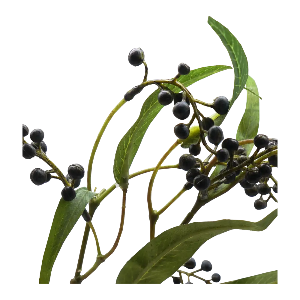 Faux Litsea Pepper Stems - Home & Garden > Decor
