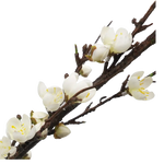 Faux Plum Bossom Stem - Home & Garden > Decor