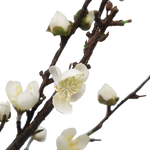 Faux Plum Bossom Stem - Home & Garden > Decor