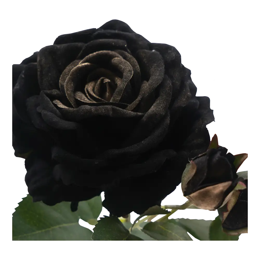 Faux Rose Stem - Home & Garden > Decor