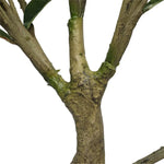 Faux White Flowering Magnolia Tree with Pot 130cm - Home & Garden > Artificial Plants