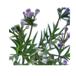 Faux Wormwood Flower Stem - Home & Garden > Decor