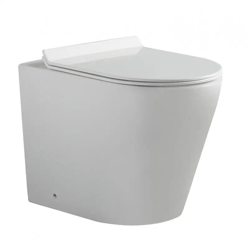 Flay-R Rimless back to wall floor pan - Furniture > Bathroom