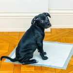 Floofi 100pcs Pet Training Pads Puppy Dog Toilet Pee Indoor Super Absorbent AU - Pet Care > Dog Supplies > Dog Training
