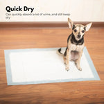 Floofi 100pcs Pet Training Pads Puppy Dog Toilet Pee Indoor Super Absorbent AU - Pet Care > Dog Supplies > Dog Training