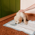Floofi 100pcs Pet Training Pads Puppy Dog Toilet Pee Indoor Super Absorbent AU - Pet Care > Dog Supplies > Dog Training