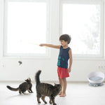 Floofi Cat Bed 2 in 1 With Turntable Toy (Grey) - Pet Care > Toys > Cat Toys