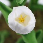 Flowering White Artificial Tulip Plant Arrangement With Ceramic Bowl 35cm - Home & Garden > Artificial Plants