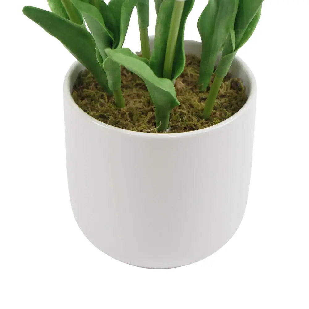 Flowering White Artificial Tulip Plant Arrangement With Ceramic Bowl 35cm - Home & Garden > Artificial Plants